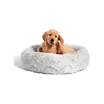 Dog Beds & Furniture